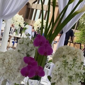 Meet your Posher, Jen